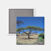 Szene am See am Langanersee, Äthiopien Magnet (Vorderseite/Rückseite)