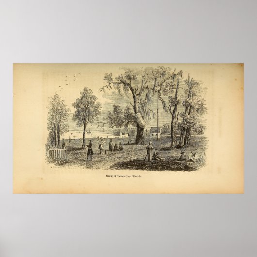 Szene in Tampa Bay Poster (Vorne)