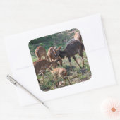 Szene mit afrikanischer Antilope Quadratischer Aufkleber (Umschlag)