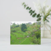 Szene von Bali Postkarte (Stehend Vorderseite)