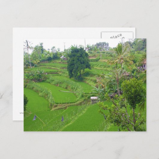 Szene von Bali Postkarte (Vorne/Hinten)