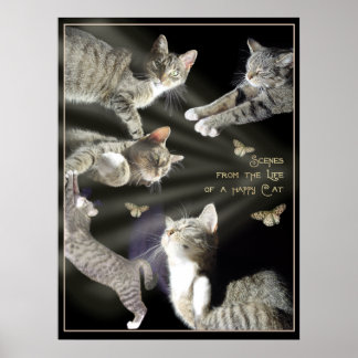 Szenen aus dem Leben einer glücklichen Katze Poster