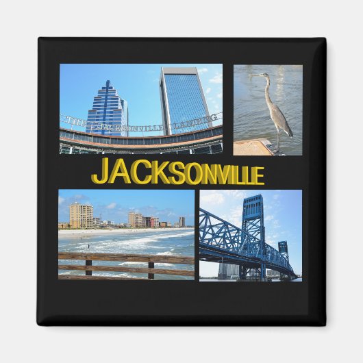 Szenen aus Jacksonville, Florida Magnet (Vorne)
