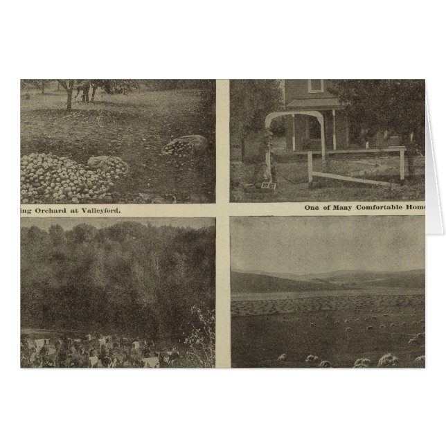 Szenen im Inland Empire (Vorderseite (Horizontal))