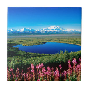Szenen-Tundra der Mount McKinley Denali Alaska Fliese