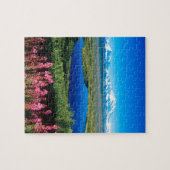 Szenen-Tundra der Mount McKinley Denali Alaska Puzzle (Horizontal)