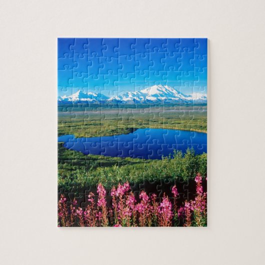 Szenen-Tundra der Mount McKinley Denali Alaska Puzzle (Vertikal)