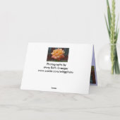 Szenen vom Washington DC Karte (Rückseite)