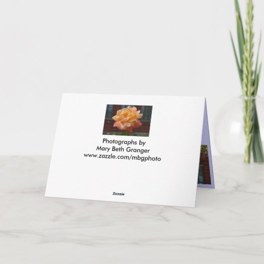 Szenen vom Washington DC Karte (Rückseite)