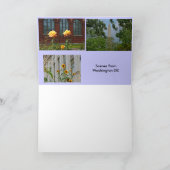 Szenen vom Washington DC Karte (Innenseite)