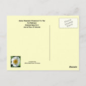 Szenen von Atlanta, Georgien Postkarte (Rückseite)