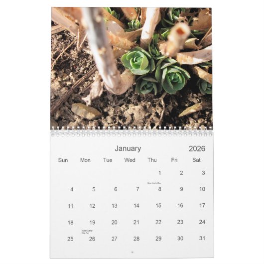 Szenen von der Natur in Nordostohio für 2014 Kalender (Jan 2026)