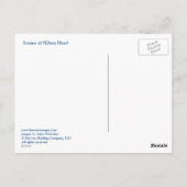 Szenen von Hilton Head Postkarte (Rückseite)