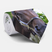 Szenen von Saratoga Krawatte (Gerollt)