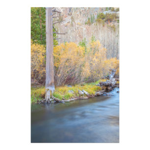 Szenenbild des Herbstflusses Fotodruck