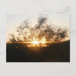 Szenenbild nach der Karte