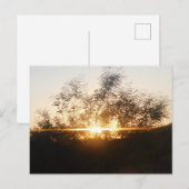 Szenenbild nach der Karte (Vorne/Hinten)