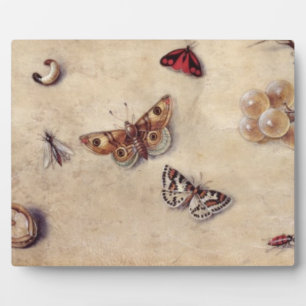T31566 A Study of Various Insects, Fruit and Anima Fotoplatte