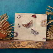 T31566 A Study of Various Insects, Fruit and Anima Fotoplatte (Seite)