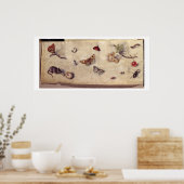 T31566 A Study of Various Insects, Fruit and Anima Poster (Küche)