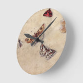 T31566 eine Studie der verschiedenen Insekten, der Runde Wanduhr (Winkel)