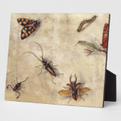 T31567 A Study of Various Insects, Fruit and Anima Fotoplatte (Seite)