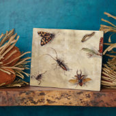 T31567 A Study of Various Insects, Fruit and Anima Fotoplatte (Seite)