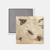 T31567 A Study of Various Insects, Fruit and Anima Magnet (Vorderseite/Rückseite)