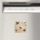 T31567 A Study of Various Insects, Fruit and Anima Magnet (In Situ (Geschirrspüler))