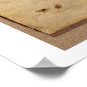 T31567 A Study of Various Insects, Fruit and Anima Poster (Ecke)