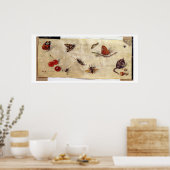 T31567 A Study of Various Insects, Fruit and Anima Poster (Küche)