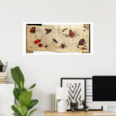 T31567 A Study of Various Insects, Fruit and Anima Poster (Heimbüro)