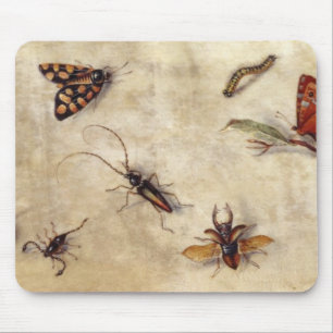 T31567 eine Studie der verschiedenen Insekten, der Mousepad