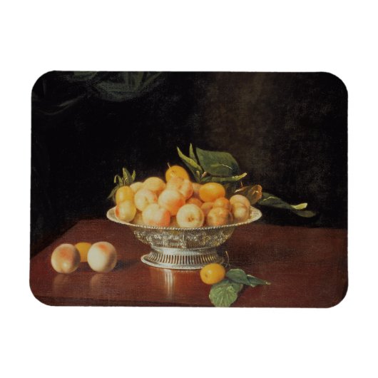 T32176 Still Life of Paches, c.1700 Magnet (Horizontal)