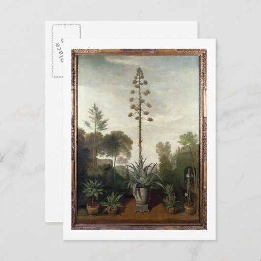 T33047 A Botanischer Garten Postkarte (Vorne/Hinten)