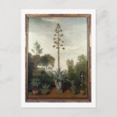 T33047 A Botanischer Garten Postkarte (Vorderseite)