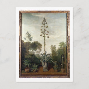 T33047 A Botanischer Garten Postkarte