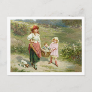 T33572 auf den Markt bringen, um ein fettfreies Sc Postkarte