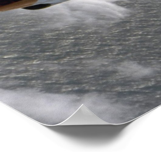 T-2 Buckeyes Poster (Ecke)