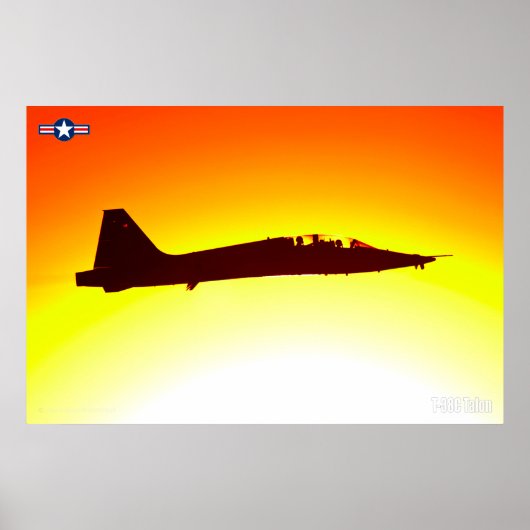 T-38C TALON POSTER (Vorne)