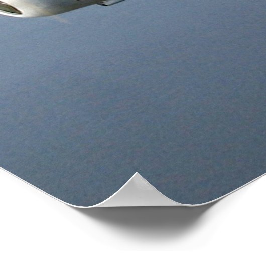 T-6 Texan Poster (Ecke)