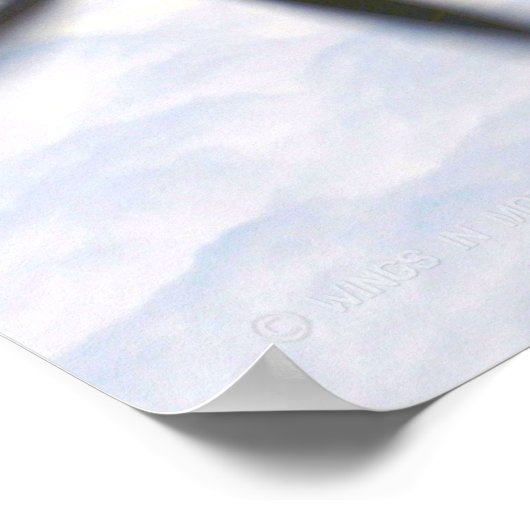 T-6A TEXAN II POSTER (Ecke)