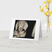 T-Bones-Glamour Karte (Gelbe Blume)