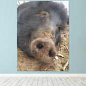 T. LEINWANDDRUCK (Insitu (Holzboden))