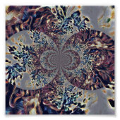 T. Nova Fotodruck (Vorne)