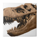 t rex3 fliese (Vorderseite)