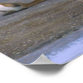 T. rex Aasfresser Druck Poster (Ecke)