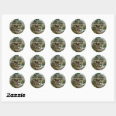 T-Rex Dinosaur Buchzeichen Sticker (Blatt)