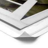 T-Rex Dinosaur Fake-Fenster Poster (Ecke)