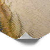 T-Rex Dinosuar Poster (Ecke)